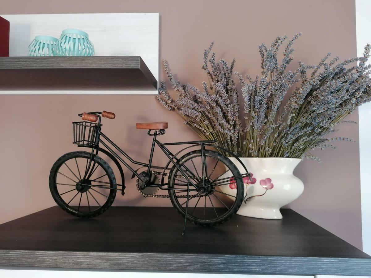 Apartman Luna Шибеник Екстер'єр фото