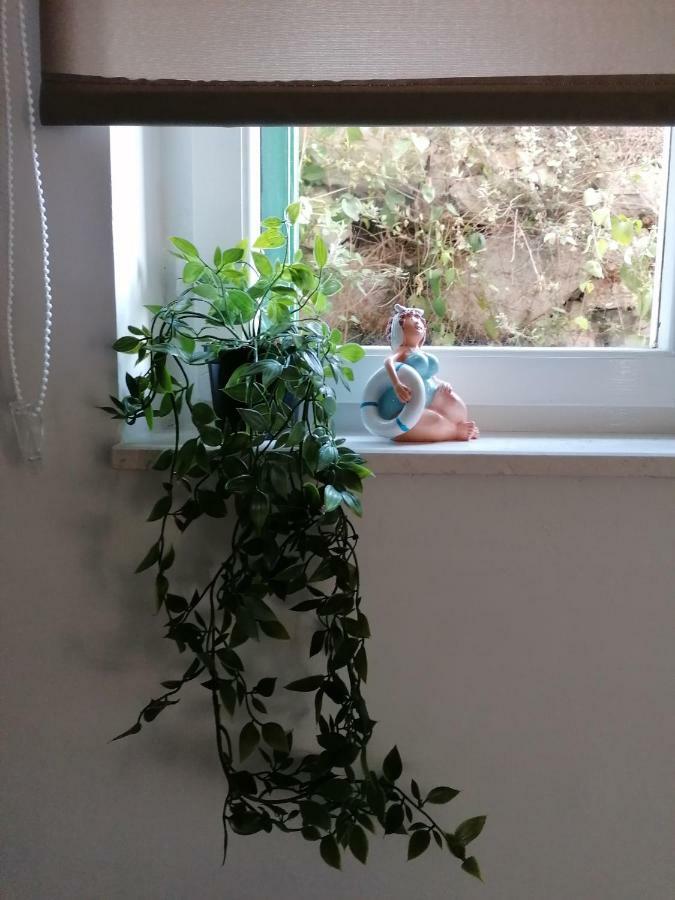 Apartman Luna Шибеник Екстер'єр фото